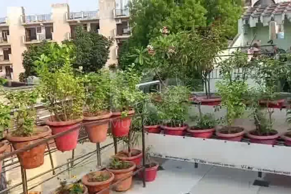 House in Lucknow