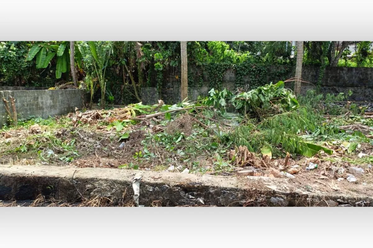 Residential Plot