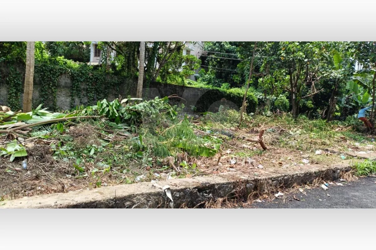 Residential Plot