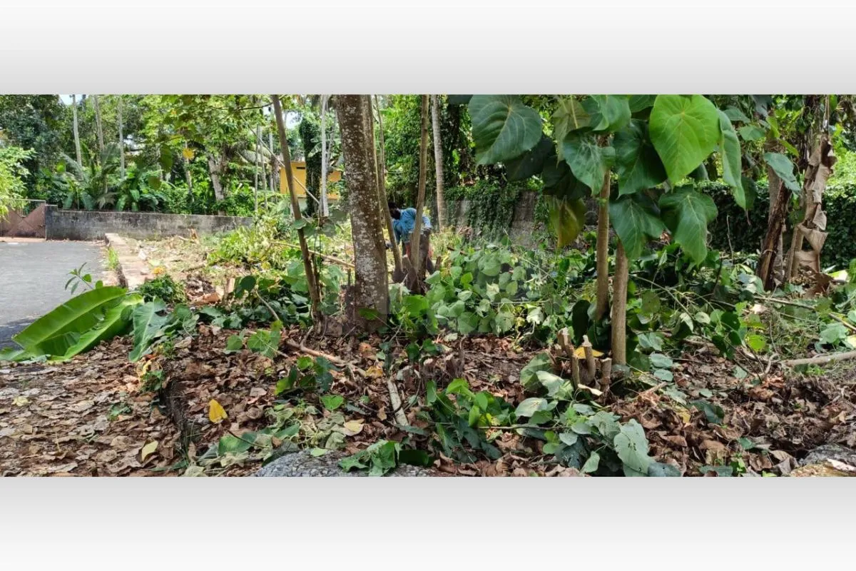 Residential Plot