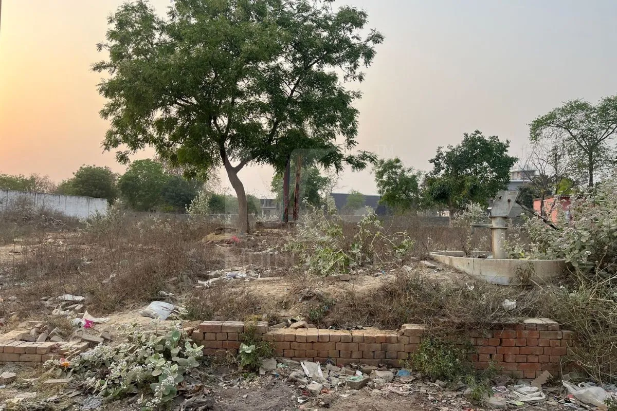 Residential Plot