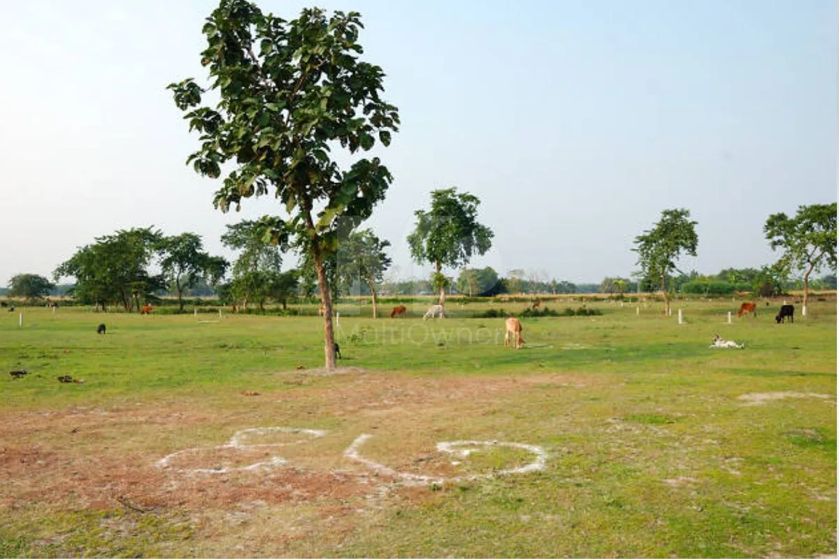 Plot for Sale in Mohali