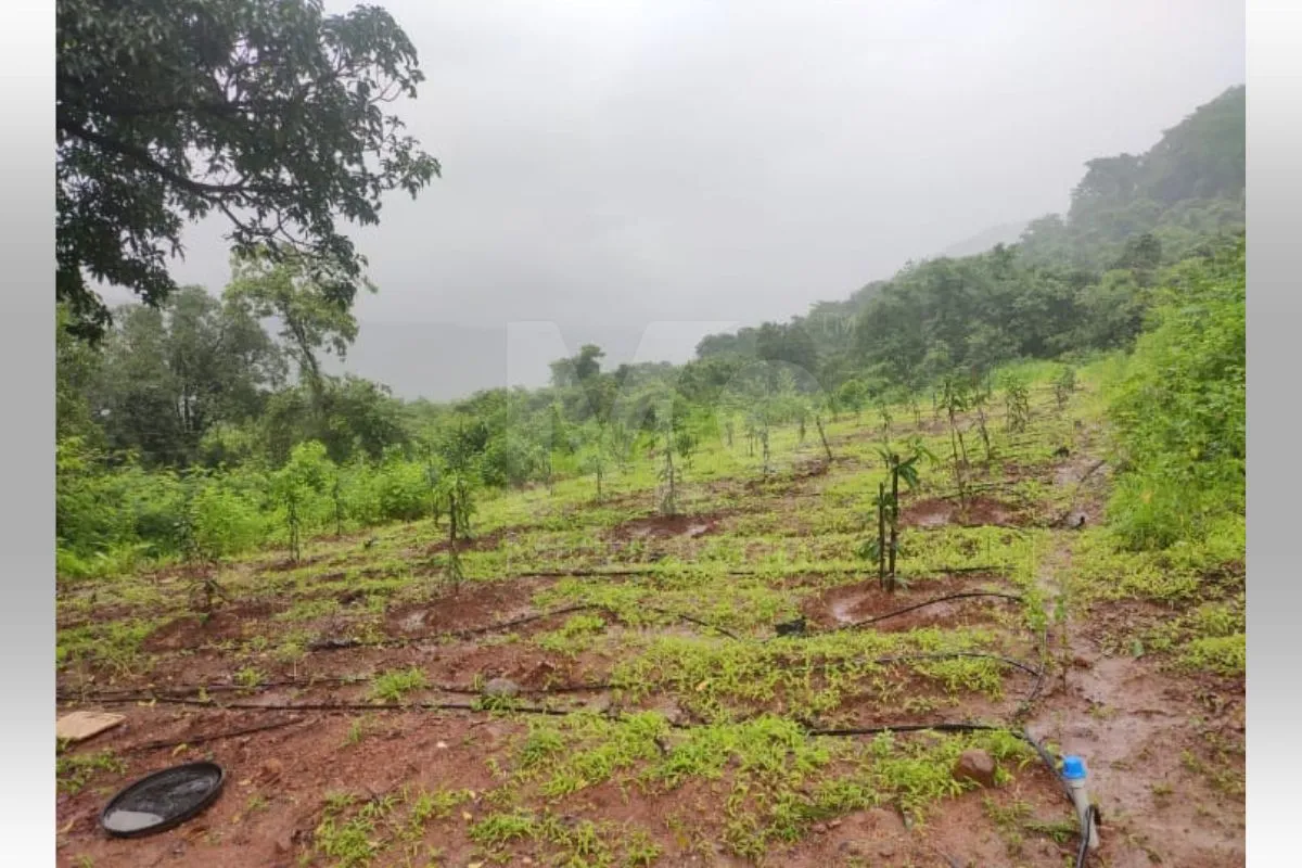 Agricultural Land in Mumbai