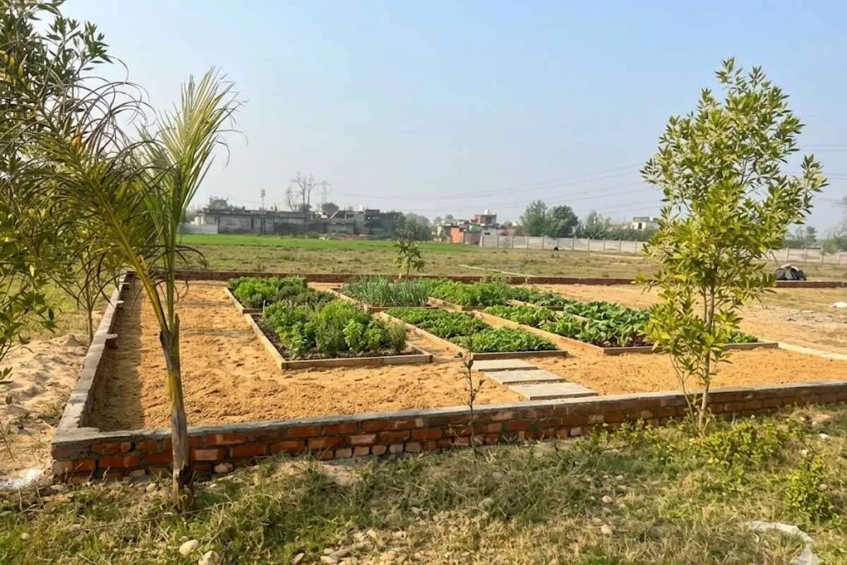  Commercial Land in Ghaziabad