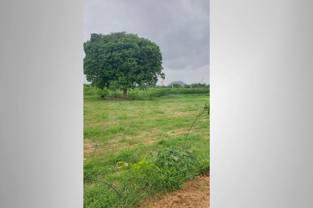 Plot in Karimnagar