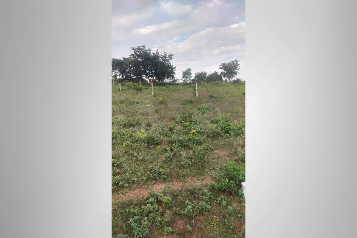 Land in Hyderabad