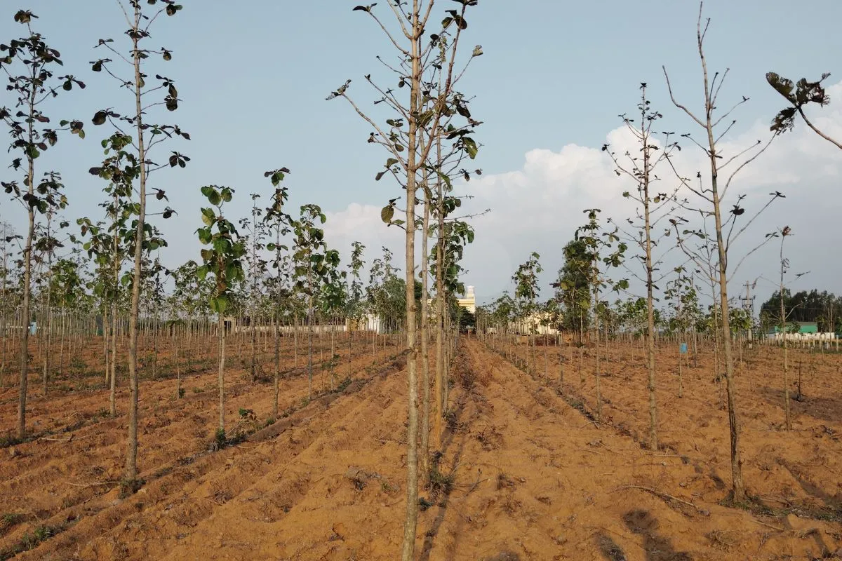 Agricultural Land in Bengaluru