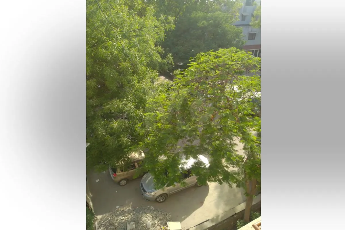  3 BHK Apartment in Delhi