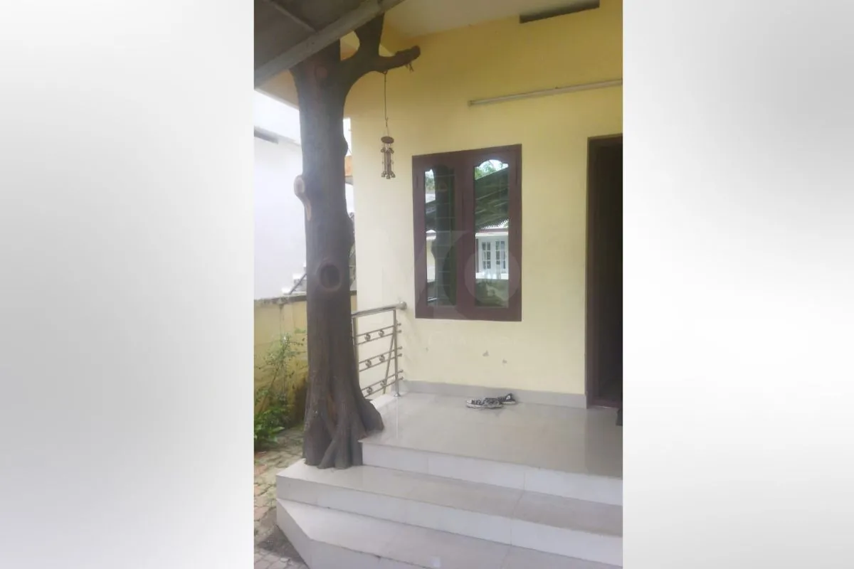 House in Kochi