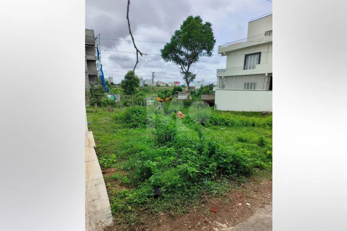 Plot in Mysusu