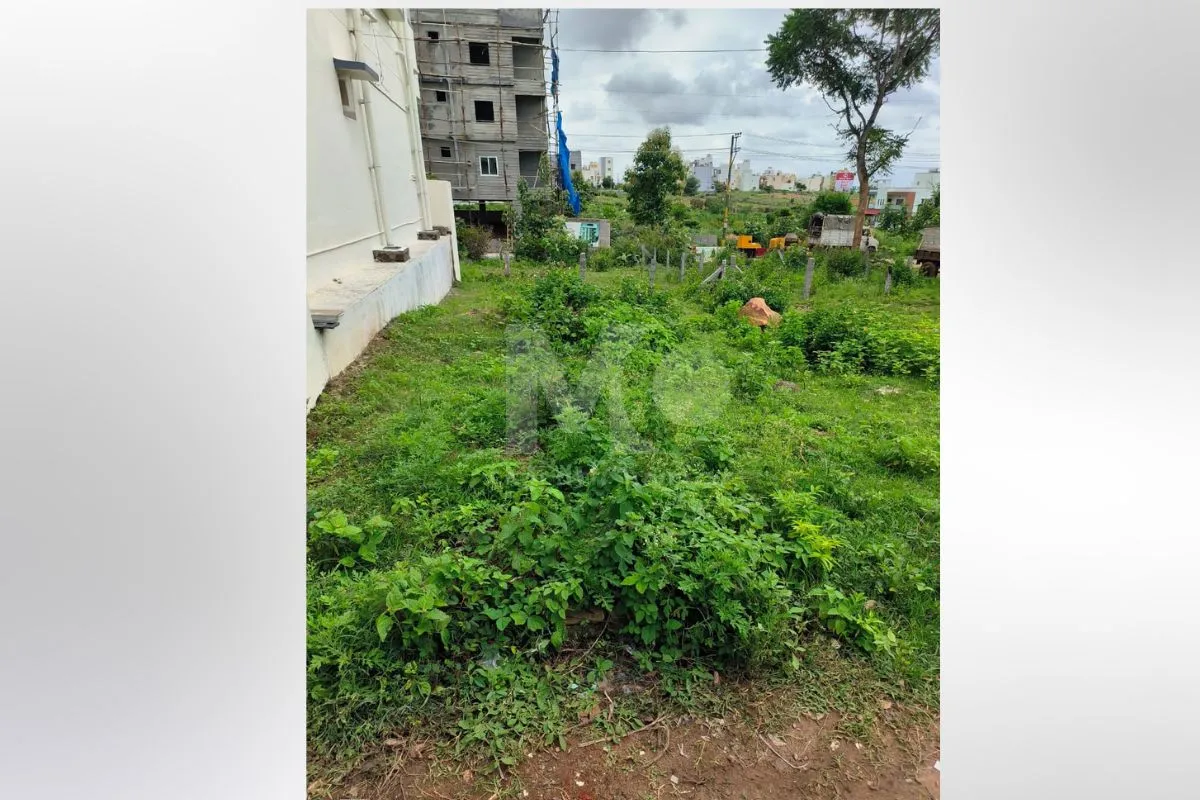 Plot in Mysusu