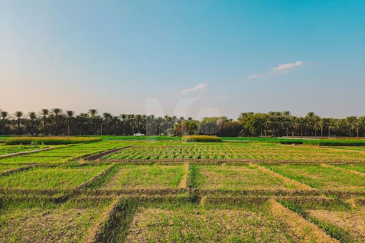 Land for sale in Mumbai