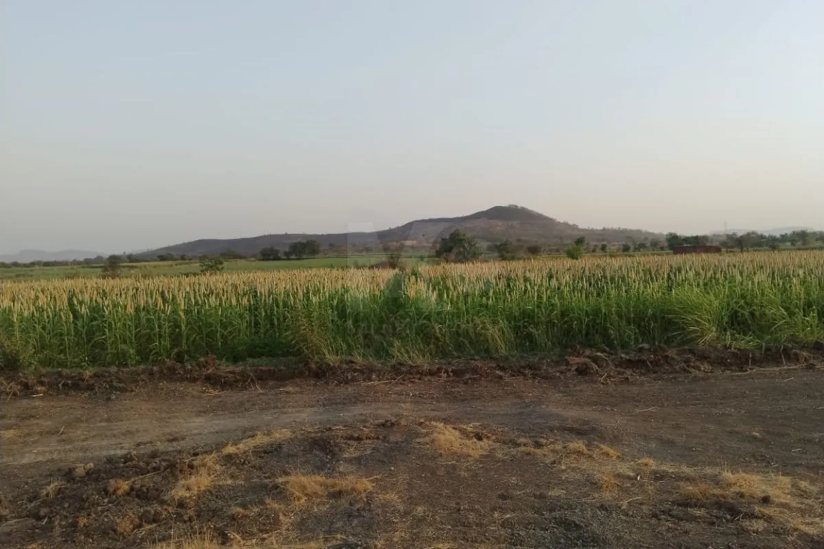 Plot in Pune Dhamane