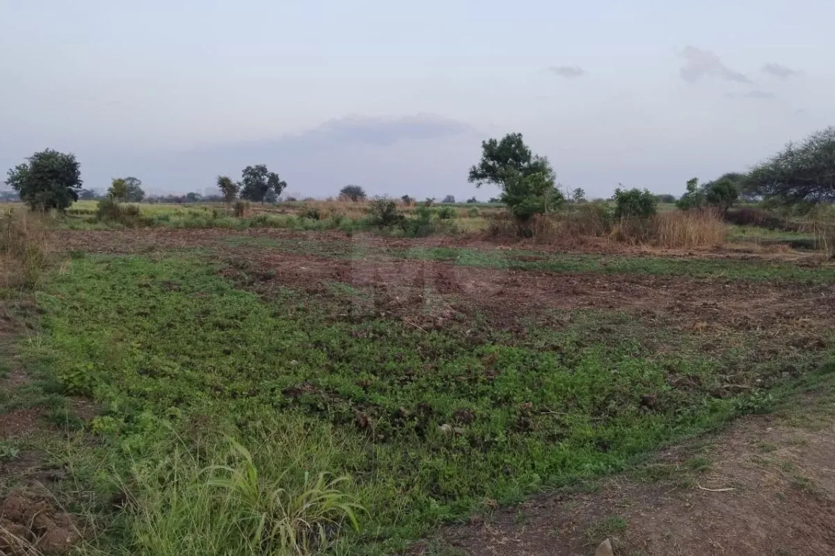 Plot in Pune Dhamane