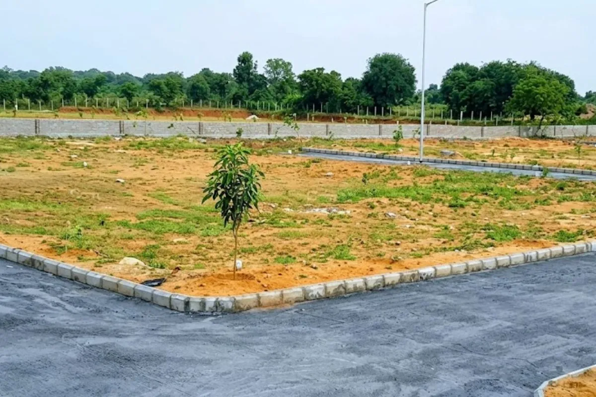 Plot for Sale in Goa