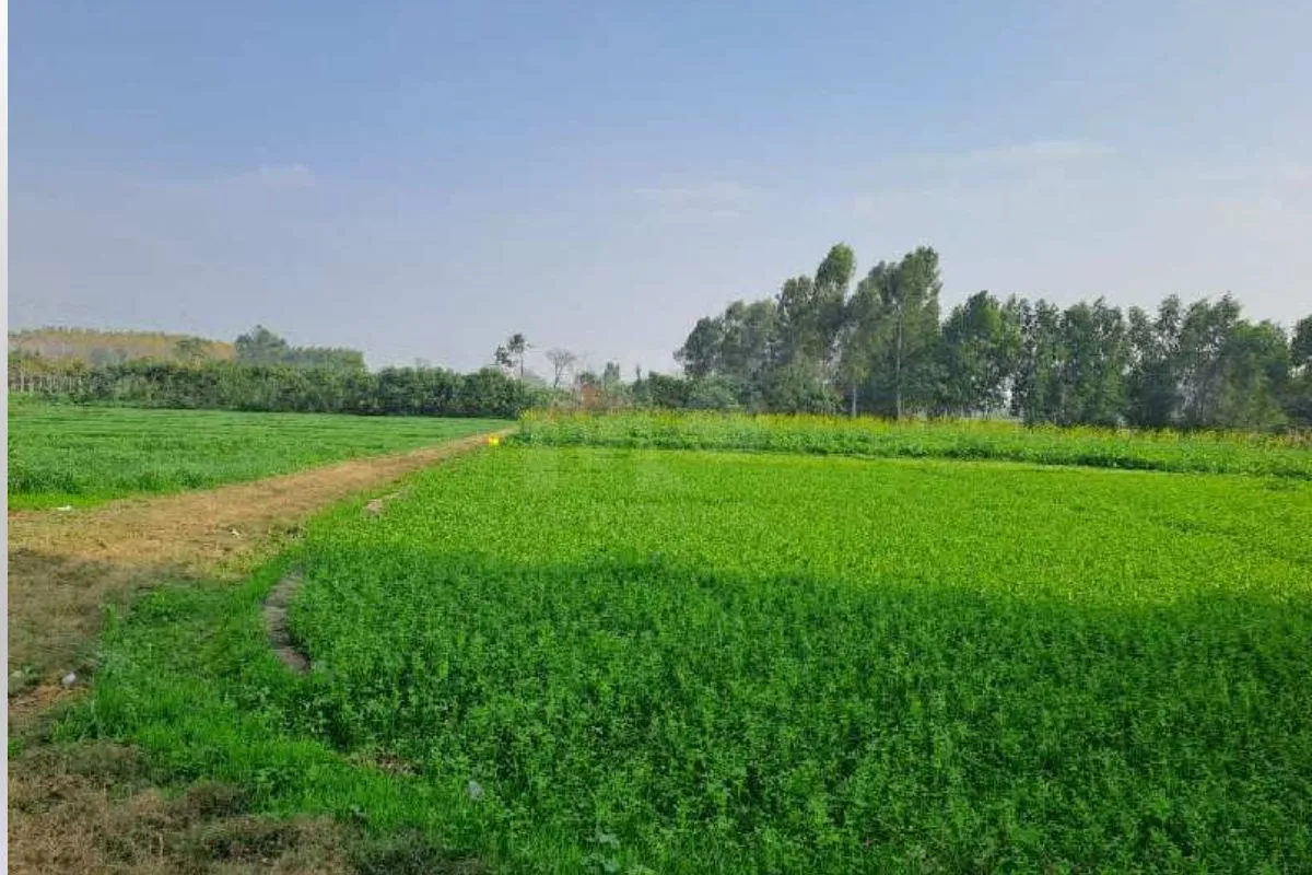 Agriculture Land in Bangalore