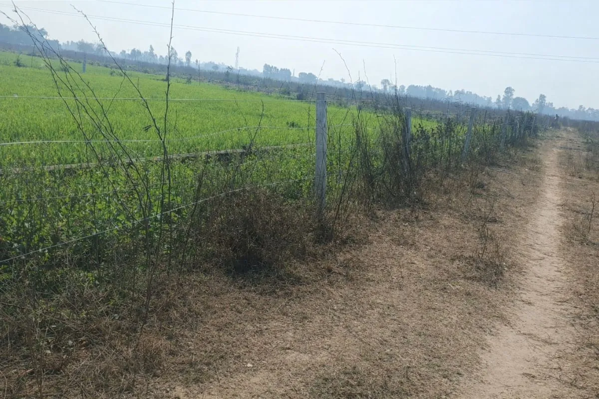 Plot in Bareilly