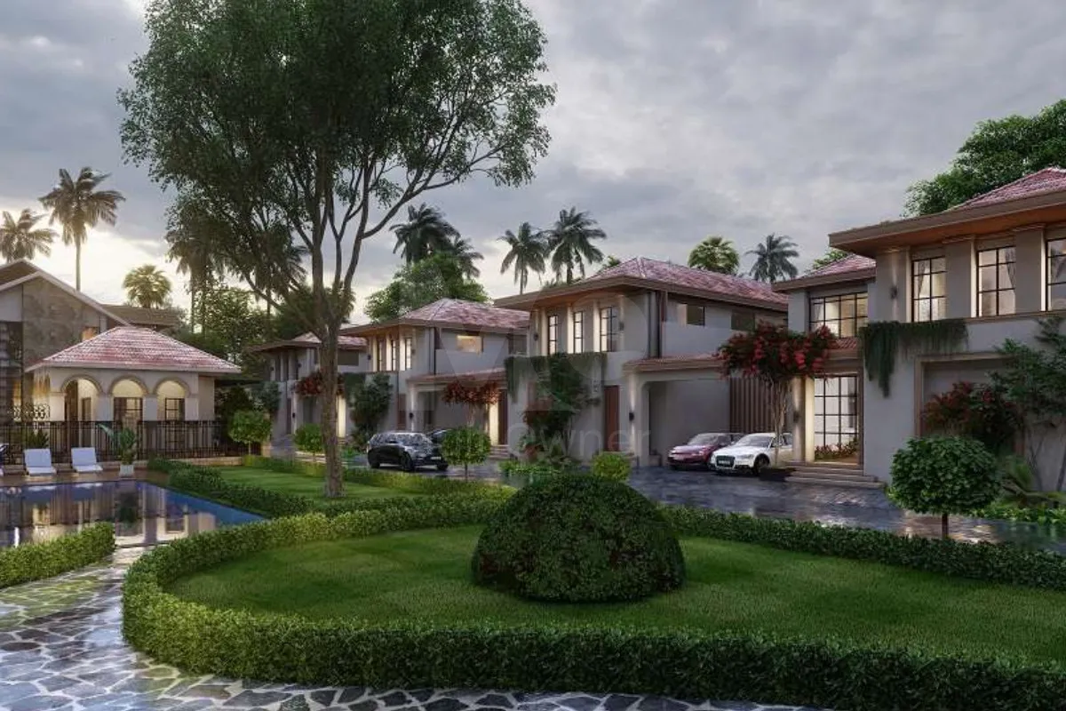 Fomento Varca Palms