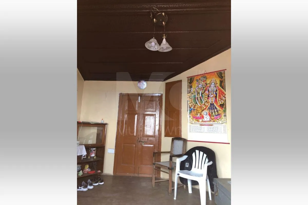 Commercial Showroom